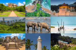The Healing Touch of Ayurveda & A Journey Through Sri Lanka